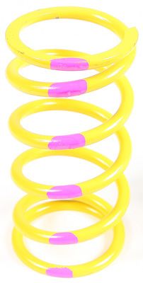 Venom Products Ski-Doo Primary Clutch Springs, Steel - Yellow/Pink
